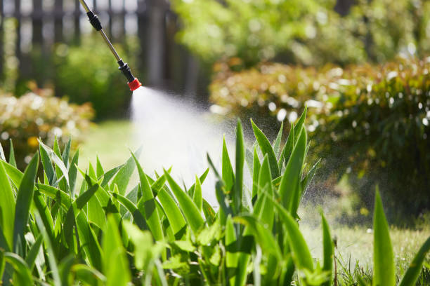 24/7 Emergency Cockroach Control experts in Jackson Center, OH
