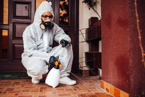 Reliable Cockroach Control contractor in Jackson Center, OH by Nex Pest Control